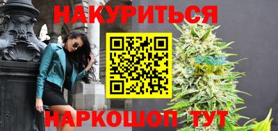 PSILOCYBIN Гатчина