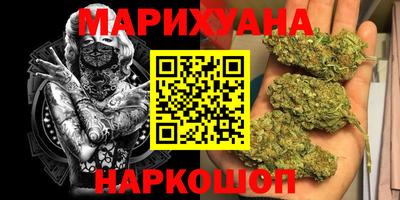 PSILOCYBIN Гатчина