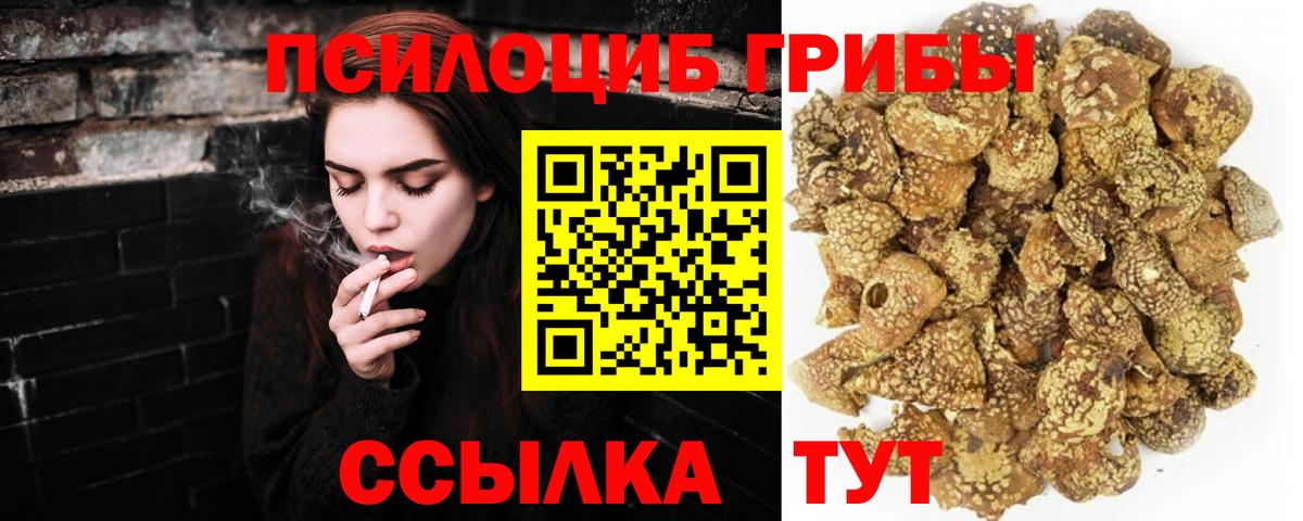 Елабуга  Псилоцибиновые грибы мухоморы  Вход с VPN 